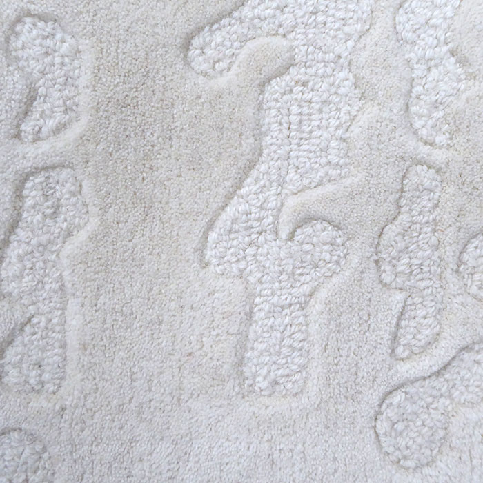 detail of the rug